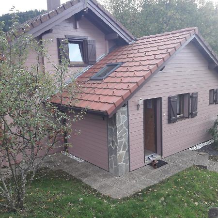Chalet Les Sapins Argentes Gerardmer Bagian luar foto