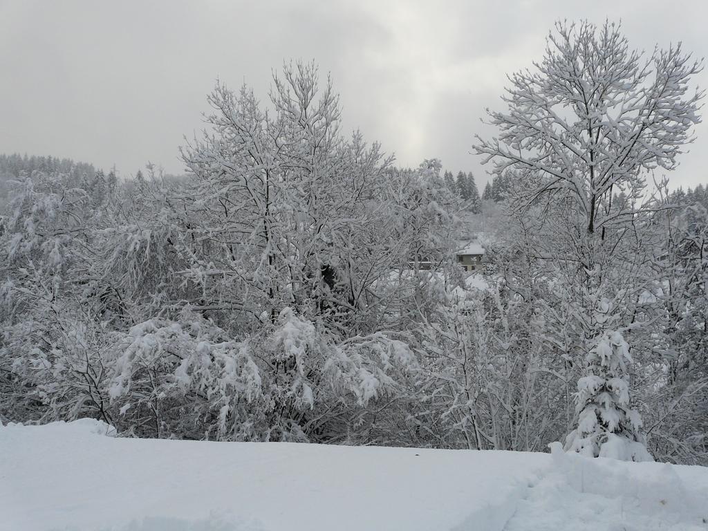 Chalet Les Sapins Argentes Gerardmer Bagian luar foto