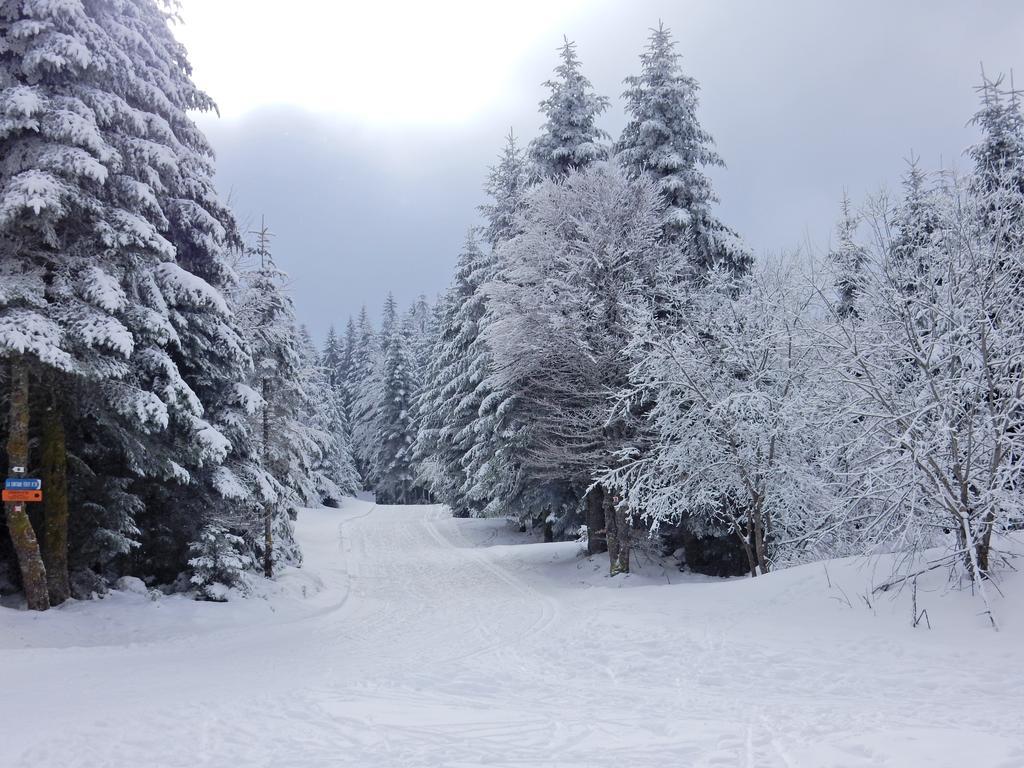 Chalet Les Sapins Argentes Gerardmer Bagian luar foto