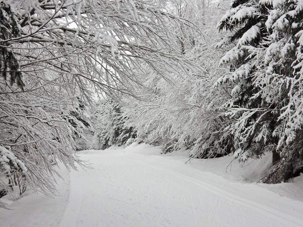Chalet Les Sapins Argentes Gerardmer Bagian luar foto