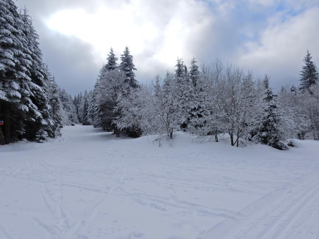Chalet Les Sapins Argentes Gerardmer Bagian luar foto