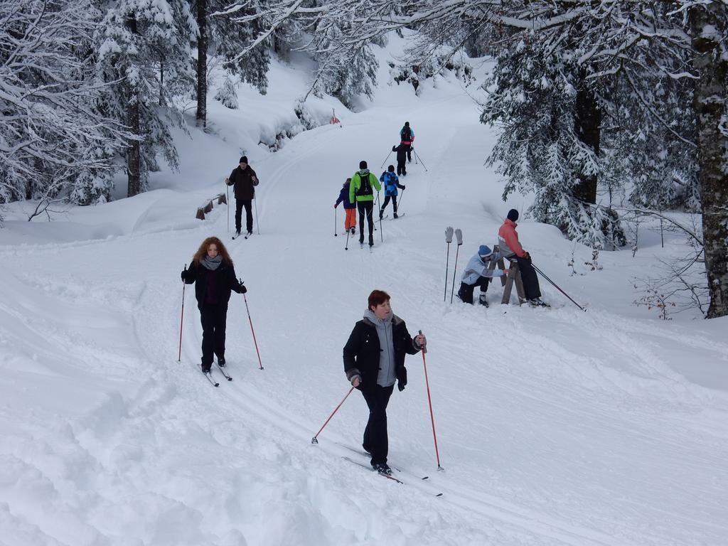 Chalet Les Sapins Argentes Gerardmer Bagian luar foto