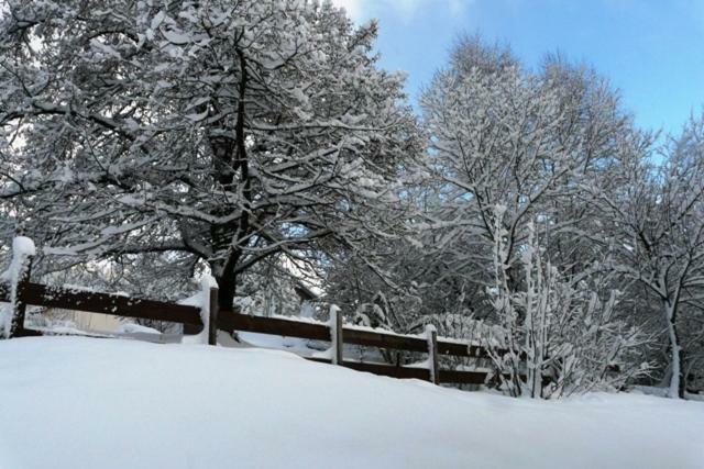 Chalet Les Sapins Argentes Gerardmer Bagian luar foto