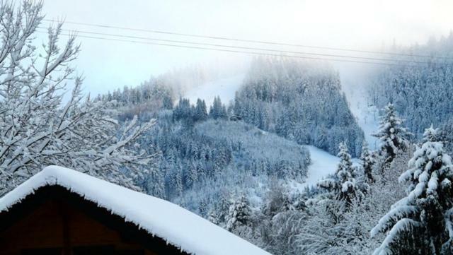 Chalet Les Sapins Argentes Gerardmer Bagian luar foto